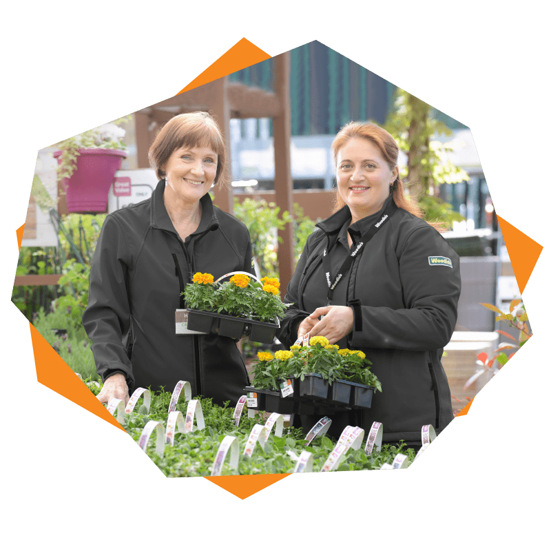 On display: Two horticulturists working in our garden centre.  